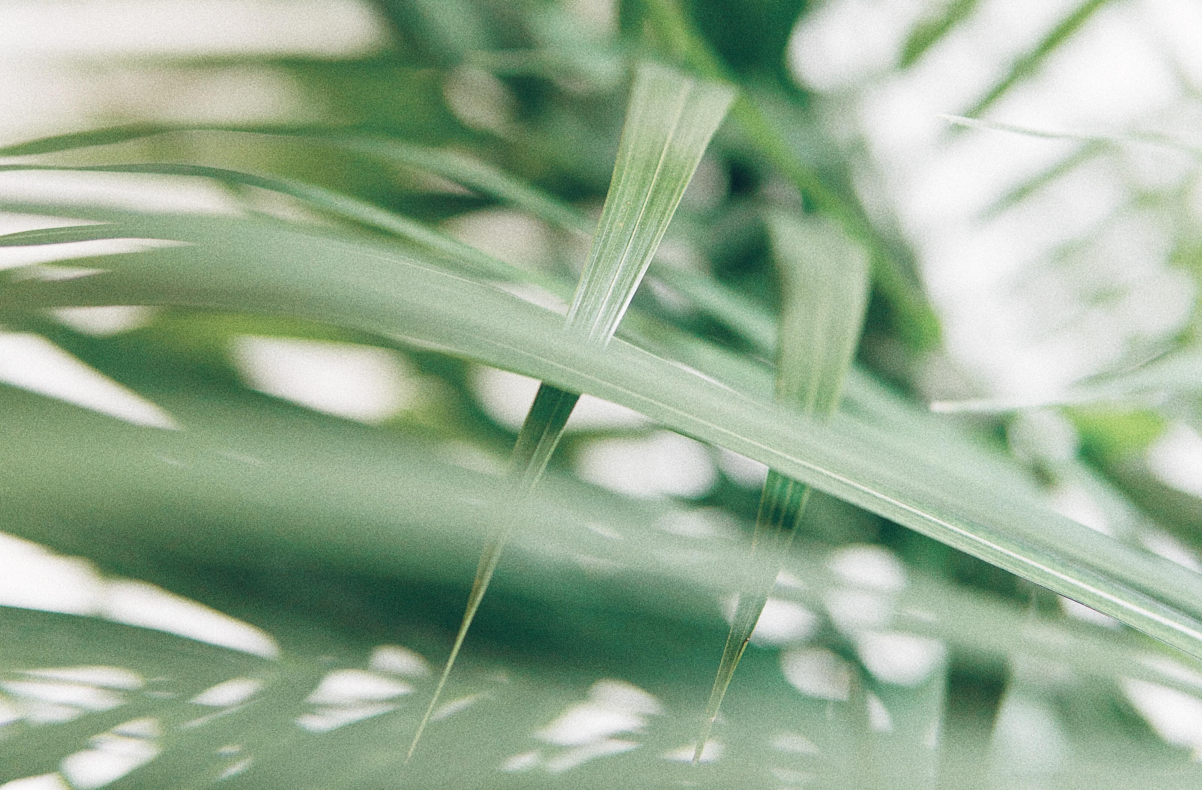 Tani Australia: Fashion That Cares About You and the Earth