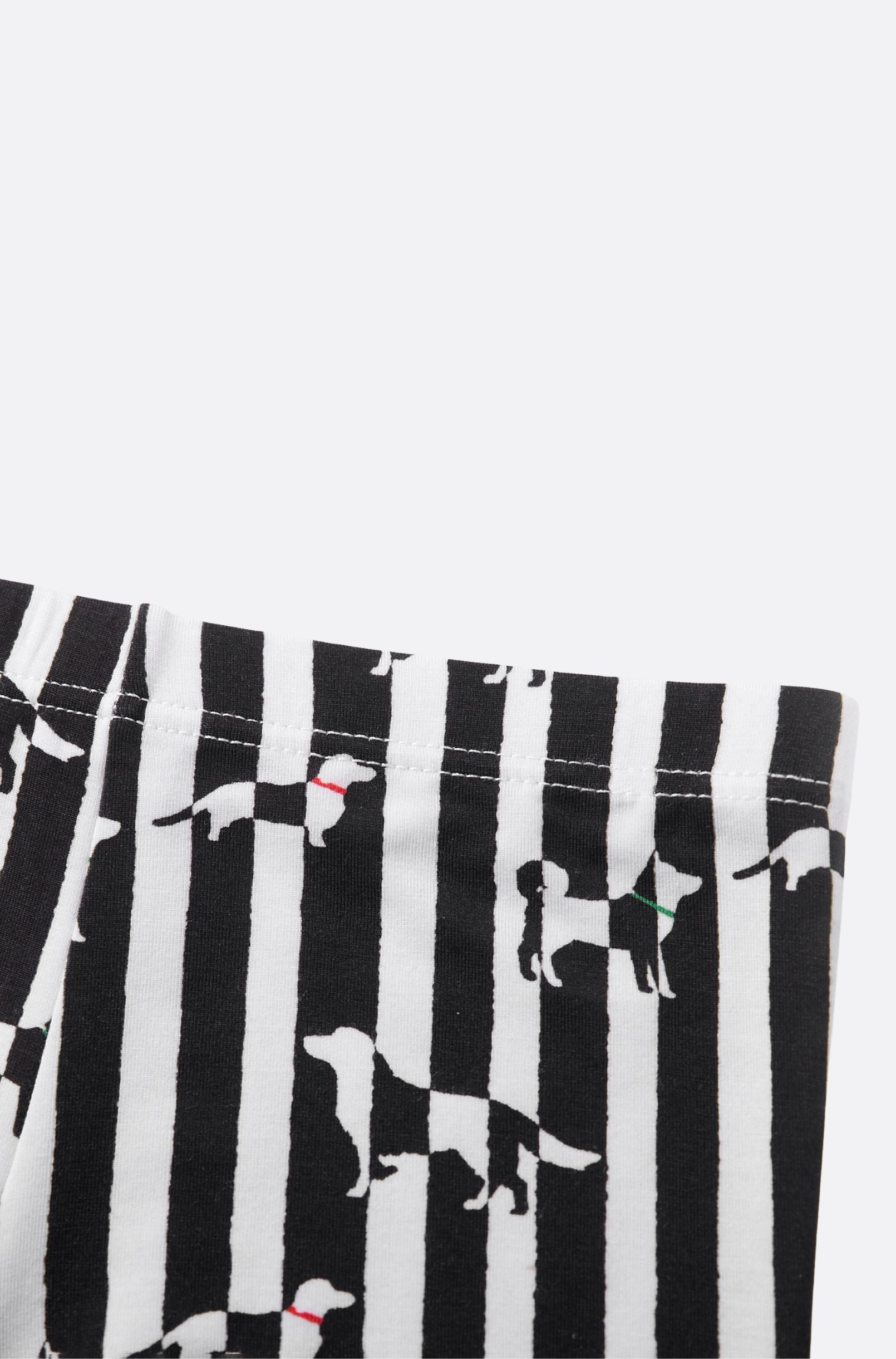 Lounge Boxer - Puppies