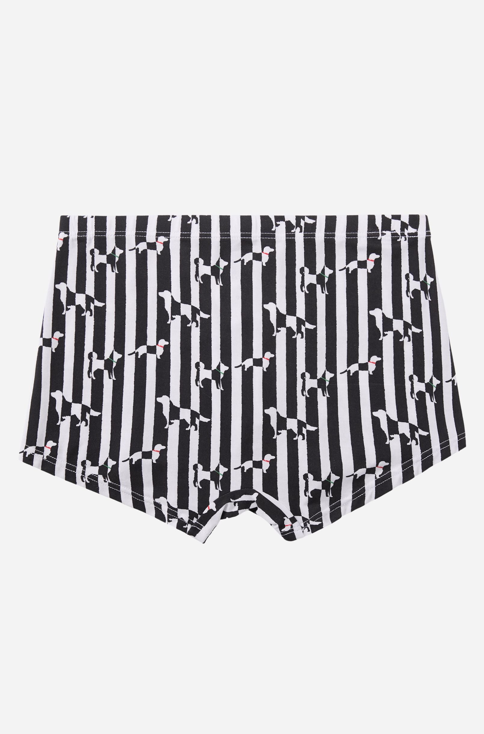 Lounge Boxer - Puppies