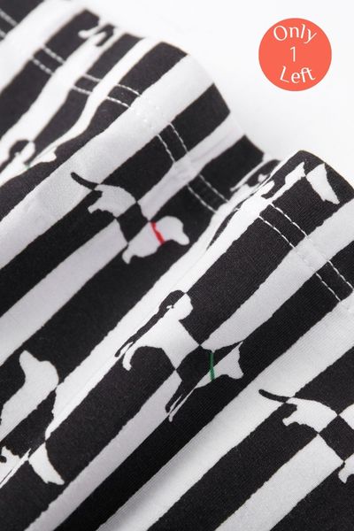 Lounge Boxer - Puppies