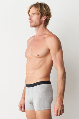 Regular Trunk - Grey Marle